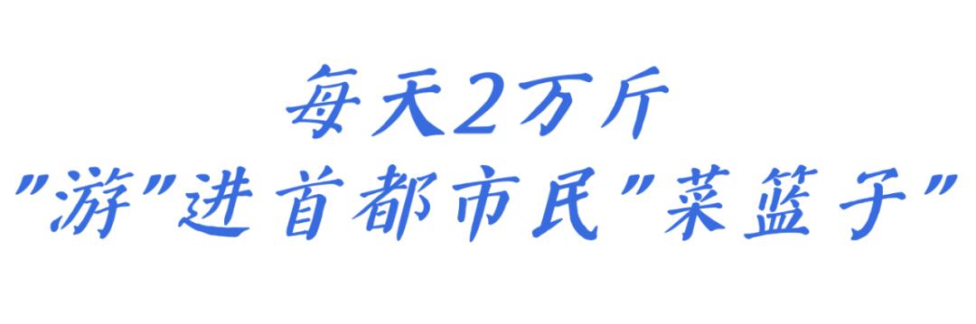 北京农产品流通协会官网_北京农产品流通协会_北京农产品流通中心