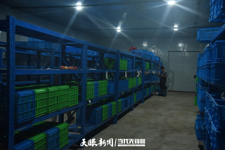 县农产品物流_农产品物流布局_农产品物流中心有哪些功能