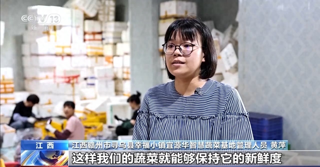 冷链物流助力乡村振兴：江西寻乌县智慧蔬菜基地的冷链设施建设