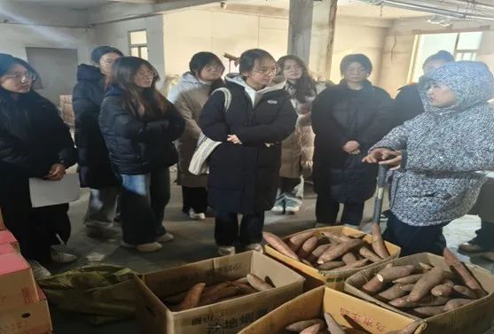 我国农村电商的主要模式_农产品电商模式_农村电商模式