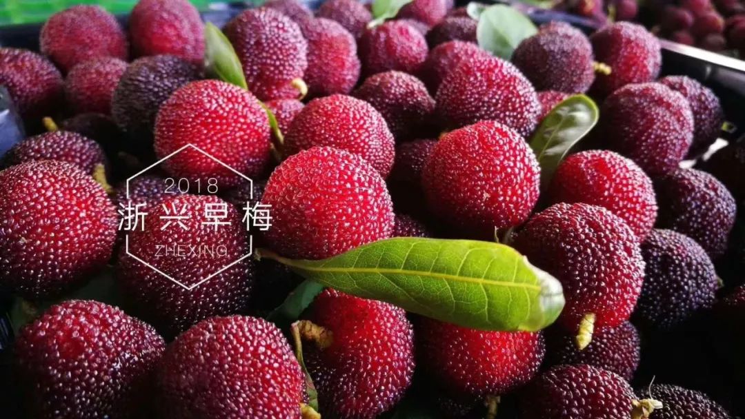 云南名牌农产品_云南农产品品牌_云南农业品牌
