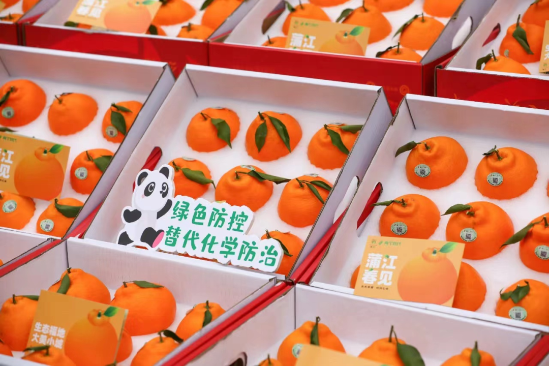 蒲江杂柑农产品地理标志_蒲江杂柑农产品地理标志_蒲江杂柑农产品地理标志