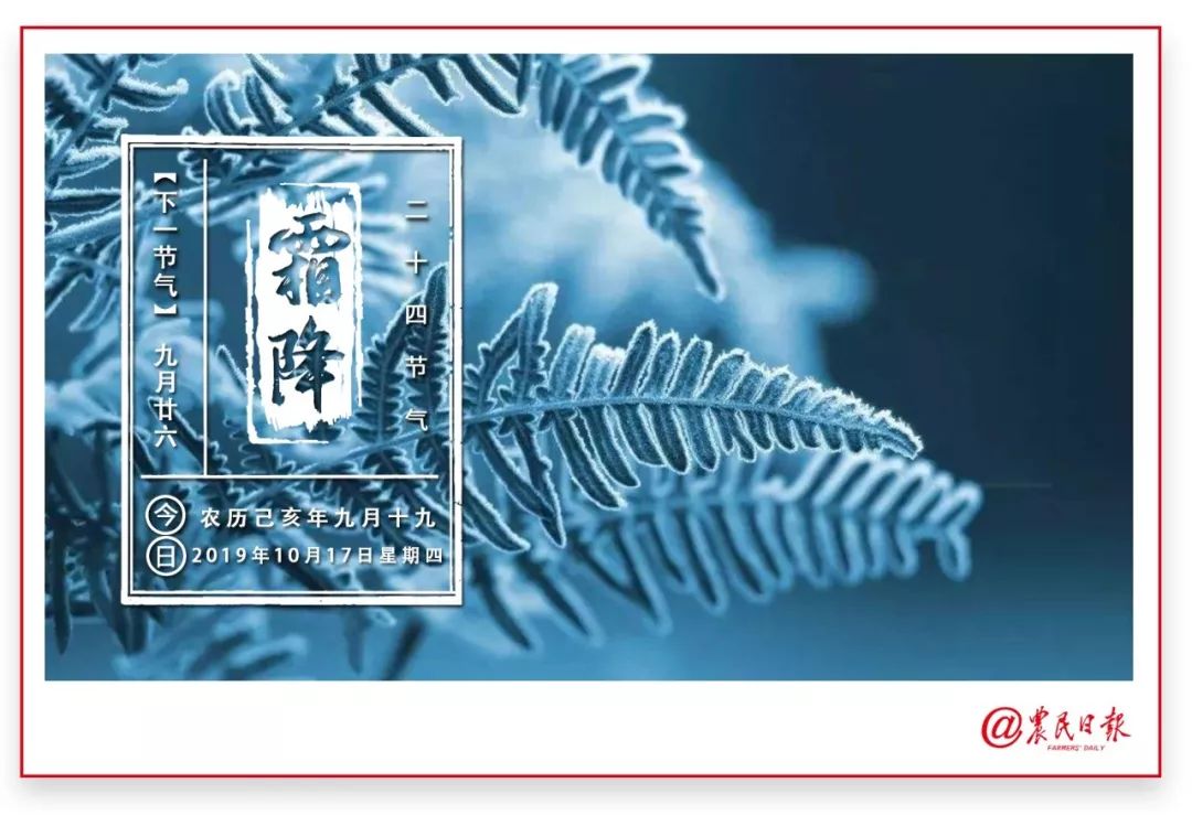 农产品指数_农业指数型基金_农产品指数基金