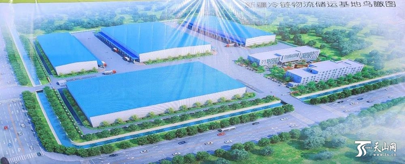 农物流冷链项目产品设计_农产品冷链物流项目_农产品物流冷链物流