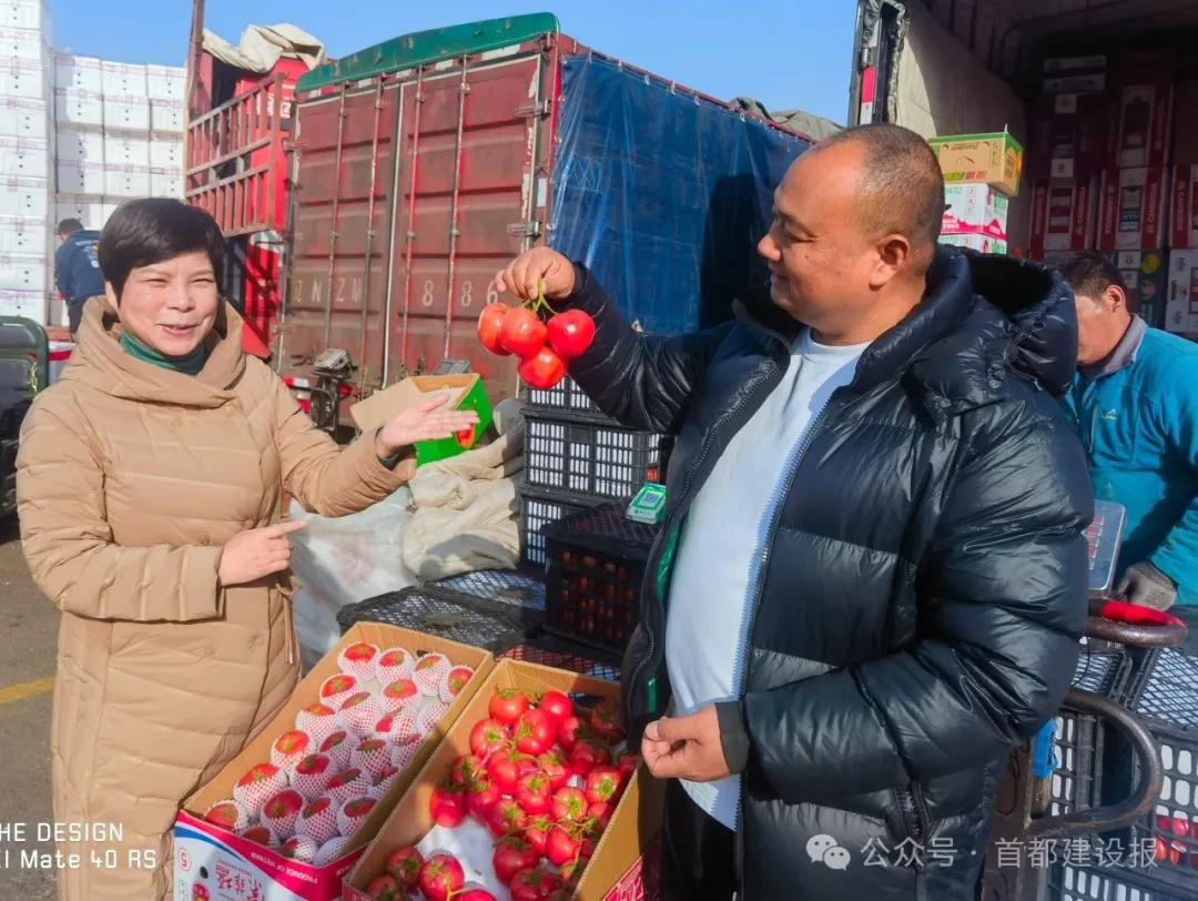 农产品市场体系建设情况总结_农产品市场体系建设_农产品市场体系建设的内容