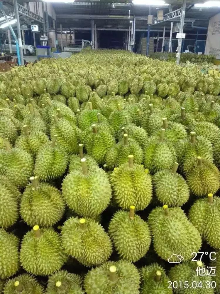 如何加盟农家福商网店_康美直销加盟有什么产品_农产品直销商城加盟 山西商平台平遥