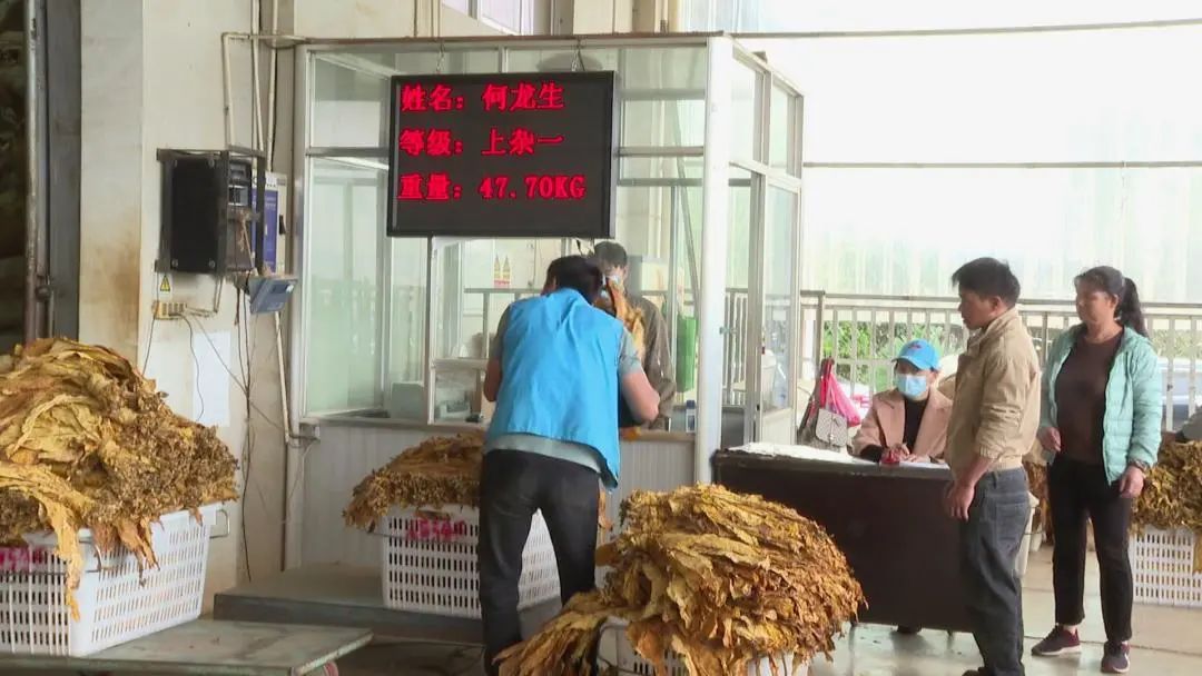 农产品收购站 优势_农产品收购渠道_农产品收购模式