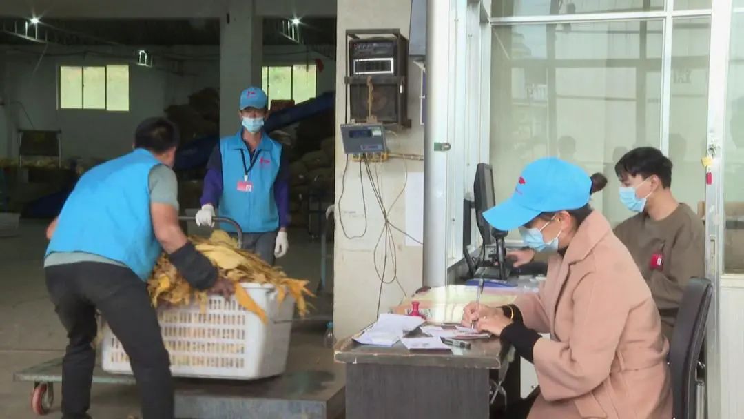 农产品收购模式_农产品收购渠道_农产品收购站 优势
