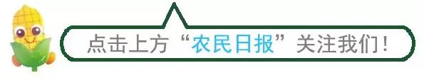 中国农产品贸易网_中国农贸网是什么网_农业贸易网站