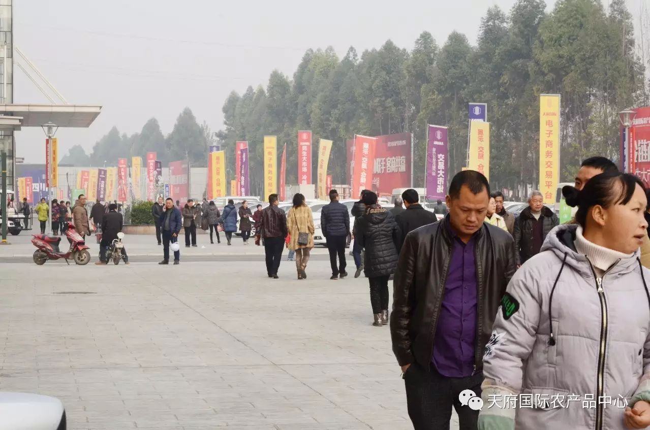 天府国际农产品中心投资可靠吗_天府国际农产品中心_天府国际农产品中心铺面