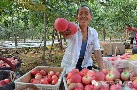 苹果的衍生农产品_农产品衍生品是什么_衍生农苹果产品有哪些