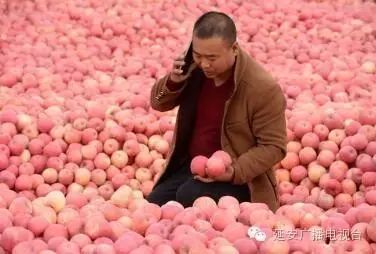 衍生农苹果产品有哪些_农产品衍生品是什么_苹果的衍生农产品