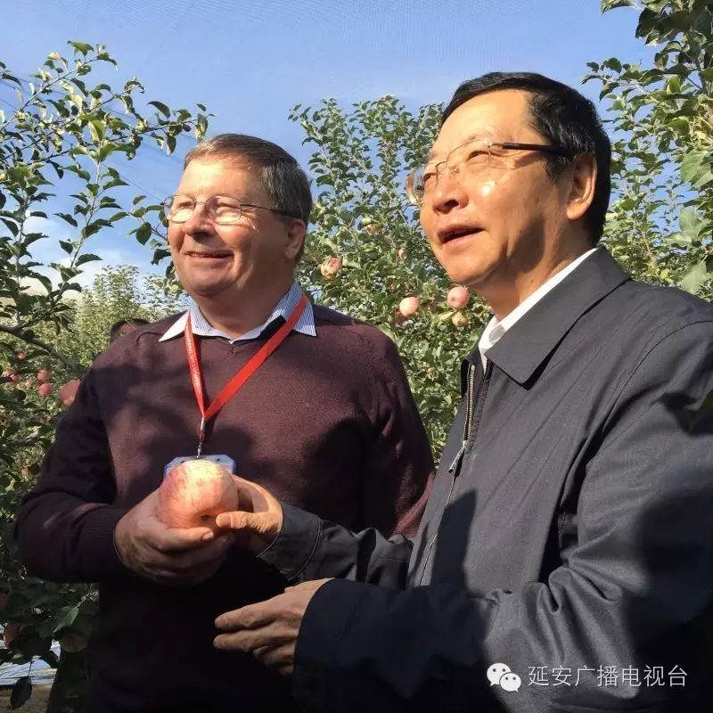 农产品衍生品是什么_苹果的衍生农产品_衍生农苹果产品有哪些