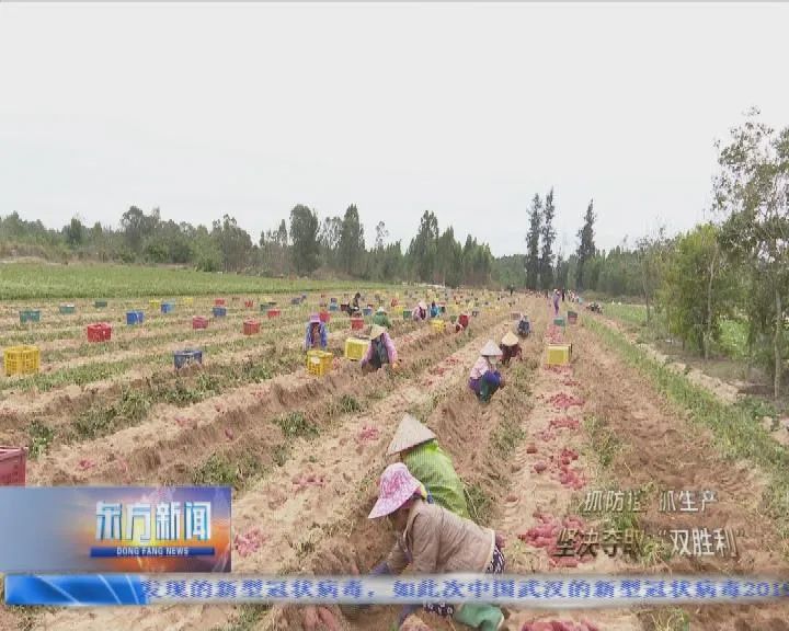 农产品的营销模式_农产品营销新模式_农产品营销模式