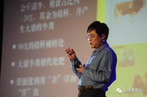 农产品资质证书标志_农产品绿色证书_优质农产品证书