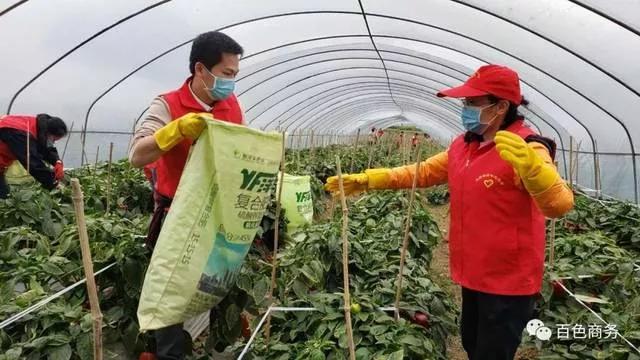 百色农产品物流院_百色市物流园地址_广西农业物流
