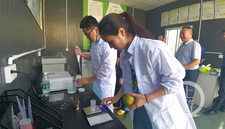 重庆农产品质量安全网_重庆市农产品质量安全中心_重庆市农产品质量安全中心主任