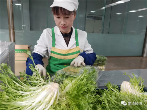 云南省特色农产品优势区_云南特色农副产品有哪些_云南特色农产品