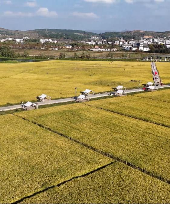 鲁甸县有几个农贸市场_鲁甸县农产品公司_鲁甸县农业投资开发有限公司
