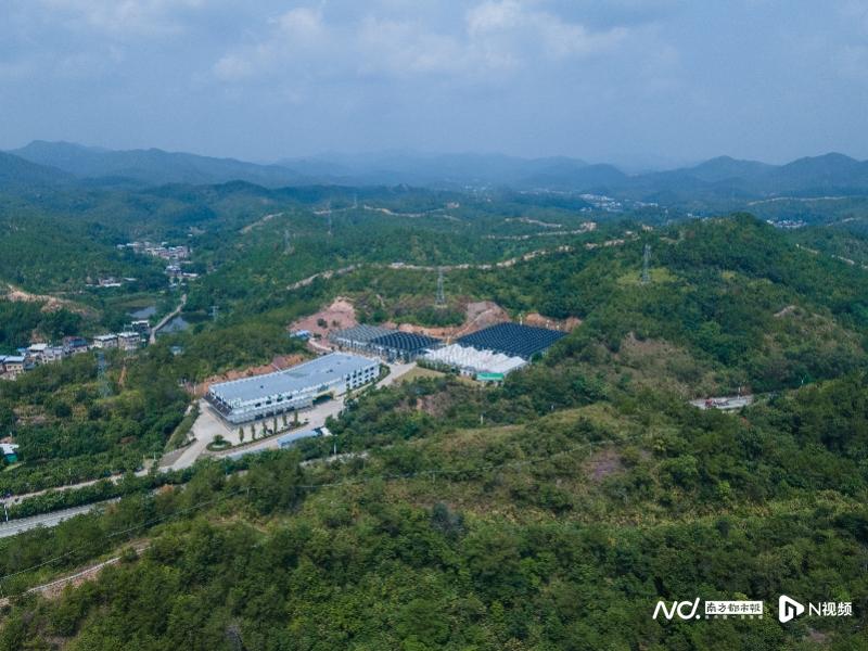 南都·湾财社携手国台酒业开展2022乡村振兴广东实践深调研 走访15村镇探索乡村旅游新模式