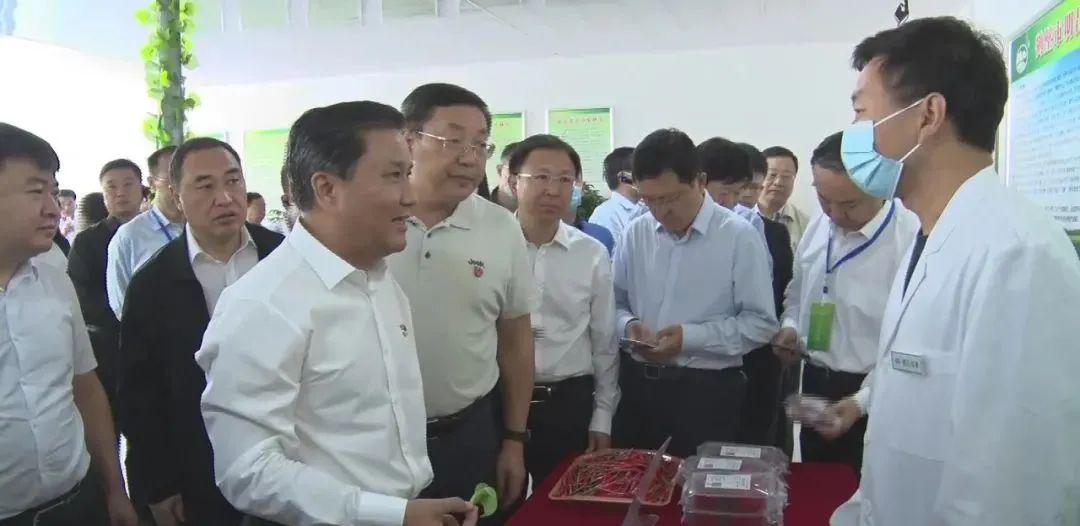 农产品可追溯体系发展_农产品可追溯体系三个基本功能_农产品追溯的意义
