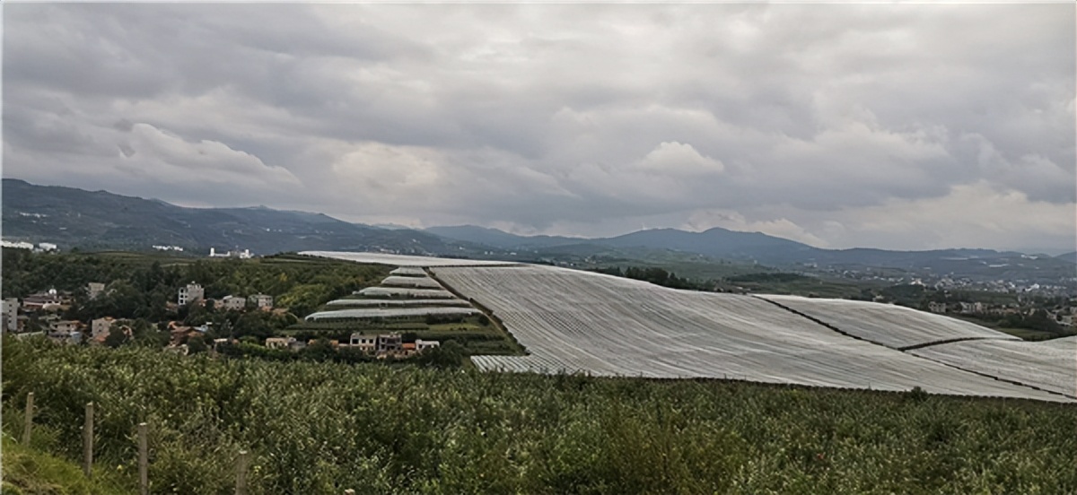 鲁甸县有几个农贸市场_鲁甸农村_鲁甸县农产品公司