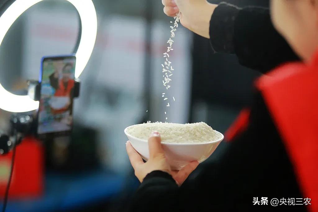 农产品电商化_农产品电商化的前期准备_农村电商农产品上行方案