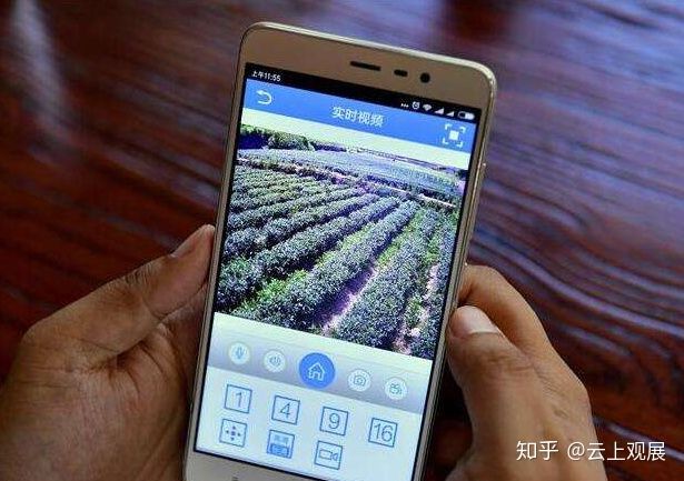 2020淘宝众筹_淘宝众筹的项目_淘宝众筹 农产品