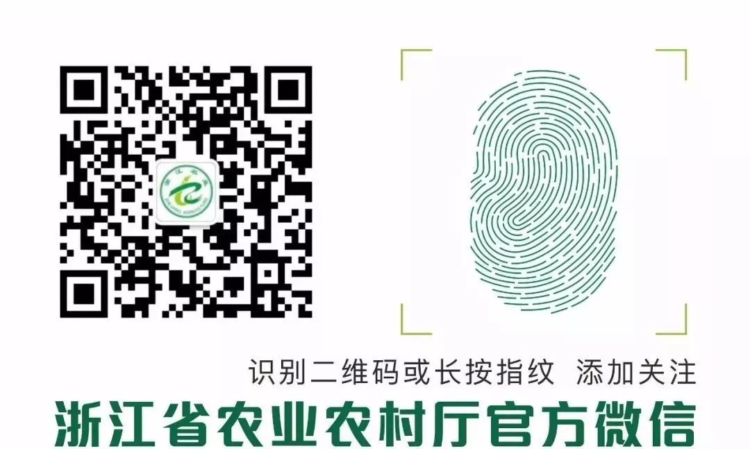 浙江特色农产品_浙江特色农产品有什么_浙江特色农业