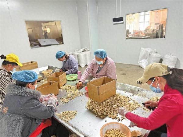云南高原特色农业概述_云南高原特色农产品_云南高原特色农产品有哪些