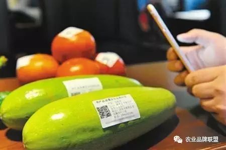 农产品品牌现状_现代农产品的品牌构成部分_我国农产品品牌现状