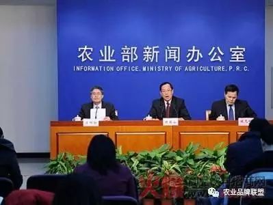 农产品品牌发展现状_农产品品牌现状_现代农产品的品牌构成部分