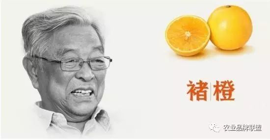 农产品品牌发展现状_农产品品牌现状_现代农产品的品牌构成部分