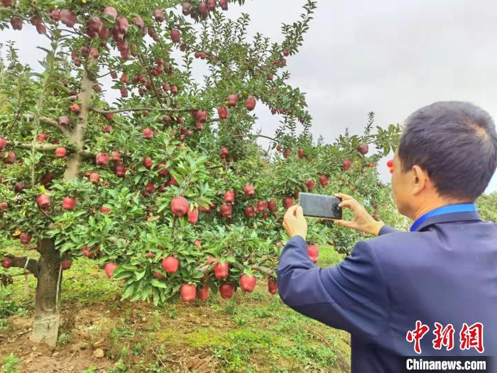 甘肃天水农场_甘肃天农电子商务有限公司_甘肃天水农产品