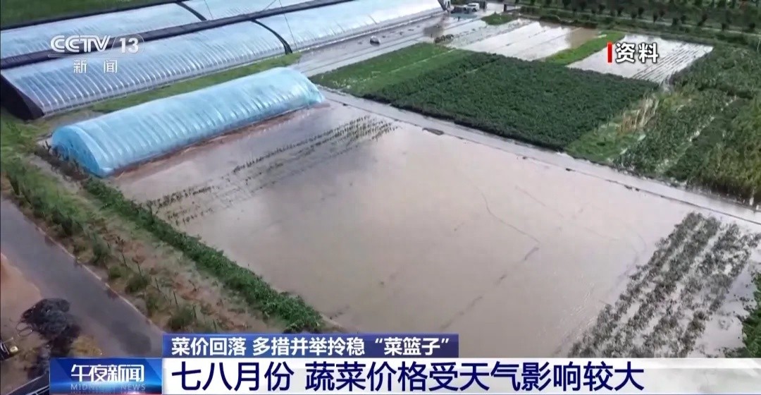 农产品市场波动：蔬菜价格上涨后回落，未来走势如何？黄瓜批发价达5.65元/公斤