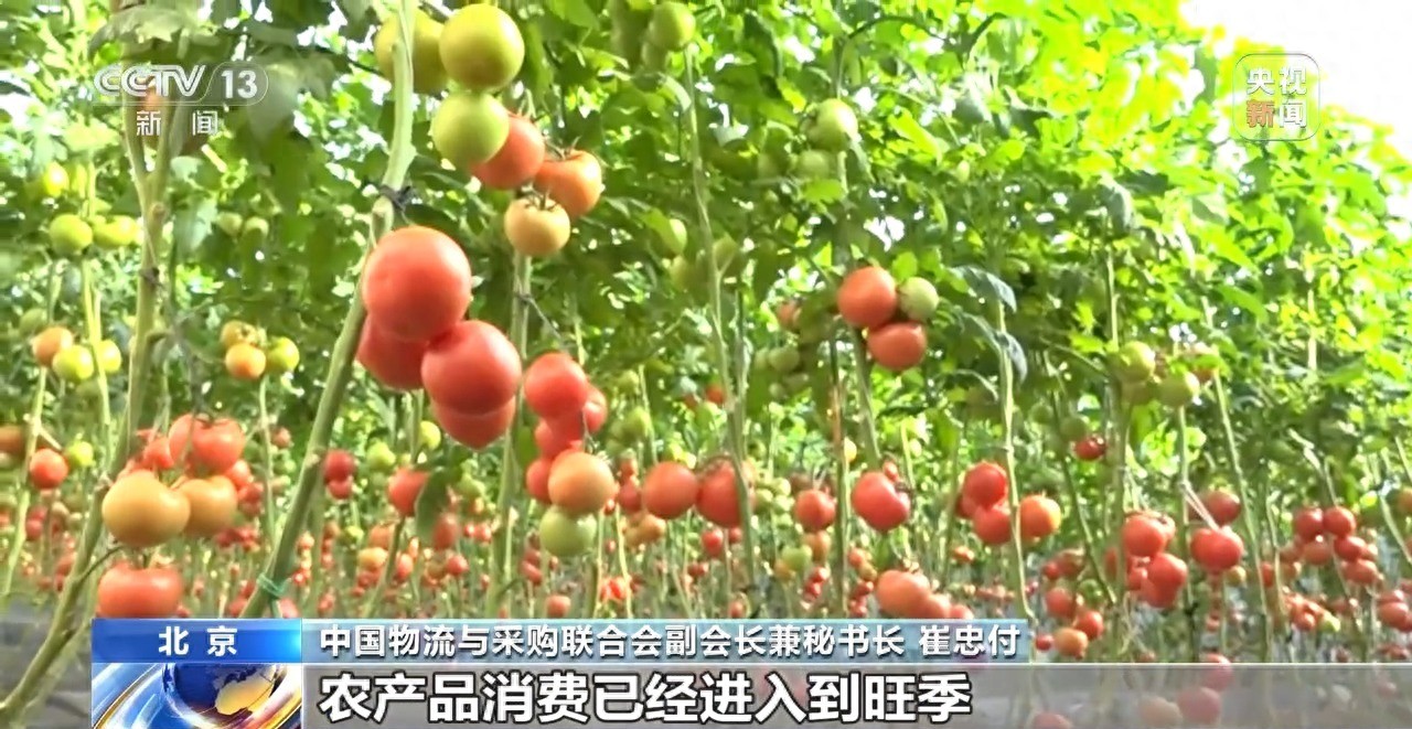 农产品冷链物流数据_农产品冷链物流发展现状分析_农产品物流冷链物流