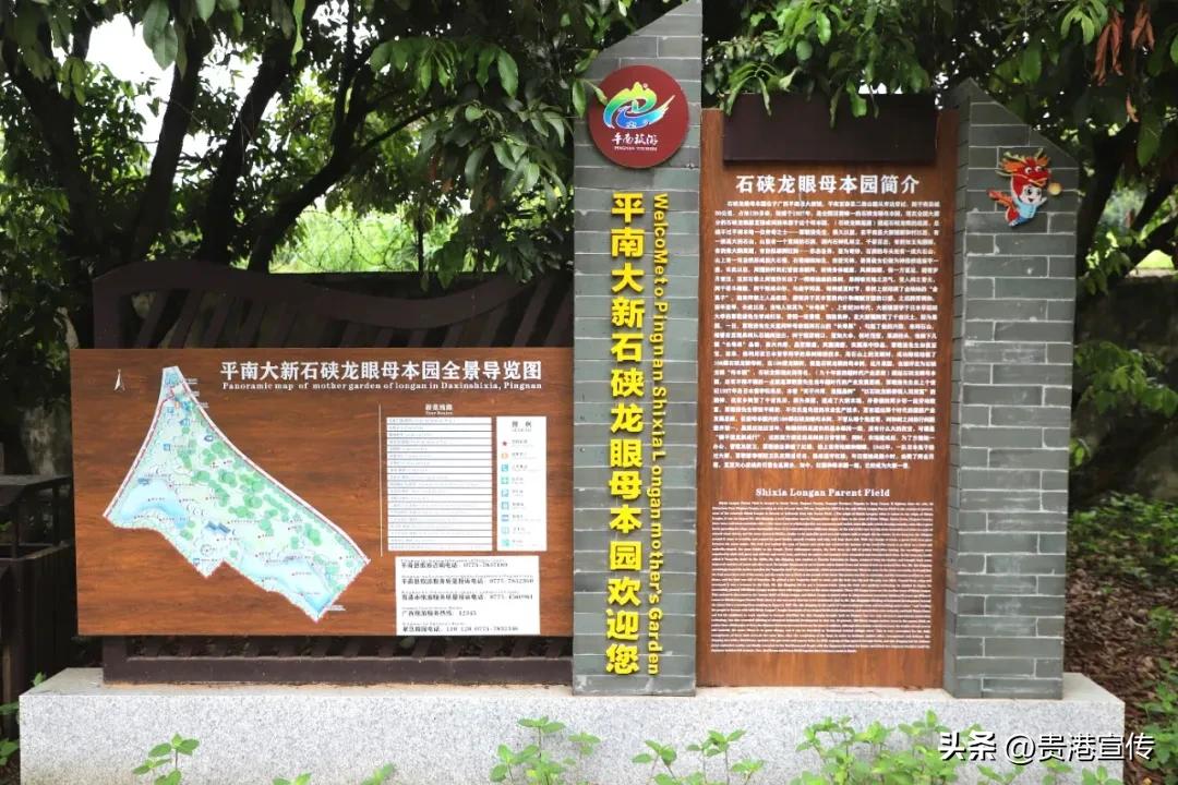 农作物富硒标准_富硒农产品标志_农产品富硒标准