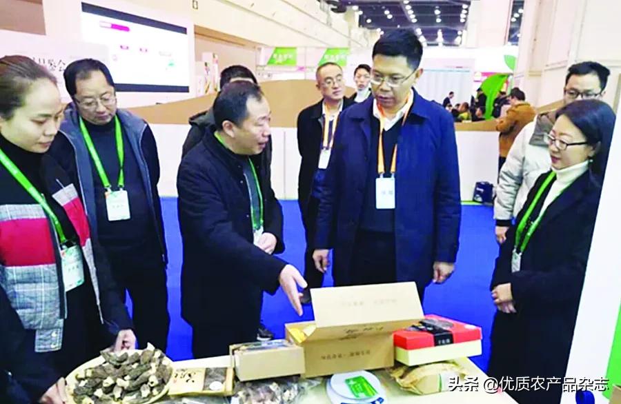 农业商标图案_农产品商标图片_商标图片大全素材