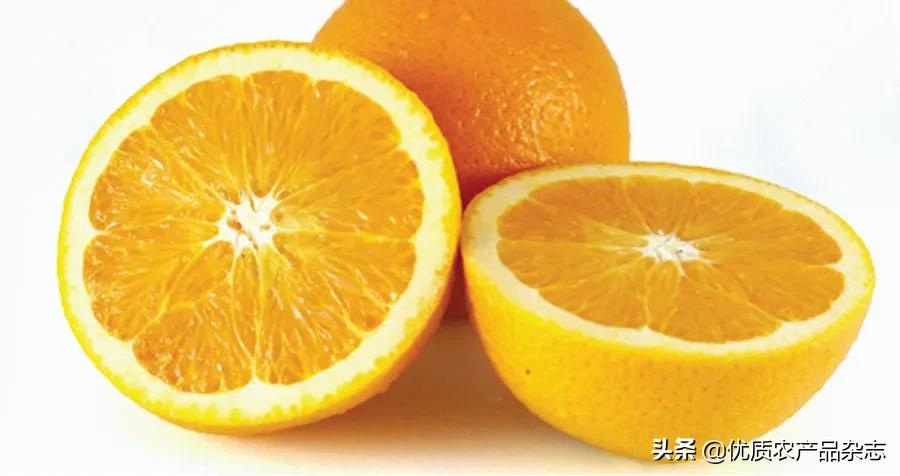 农业商标图案_农产品商标图片_商标图片大全素材