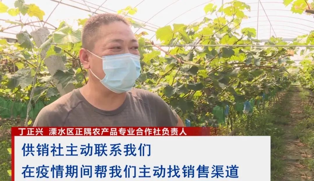 南京农副产品批发中心_南京农产品批发网_南京农产品批发市场