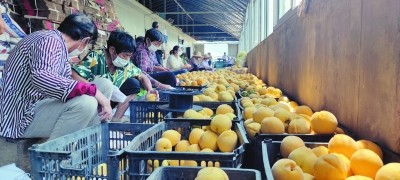 南京农产品批发市场_南京农产品批发网_南京农副产品批发中心