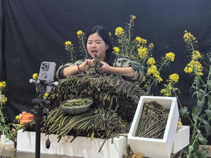 贵州六枝特区野生蕨菜：纯天然无污染，凉拌炒肉皆美味，农民增收新希望