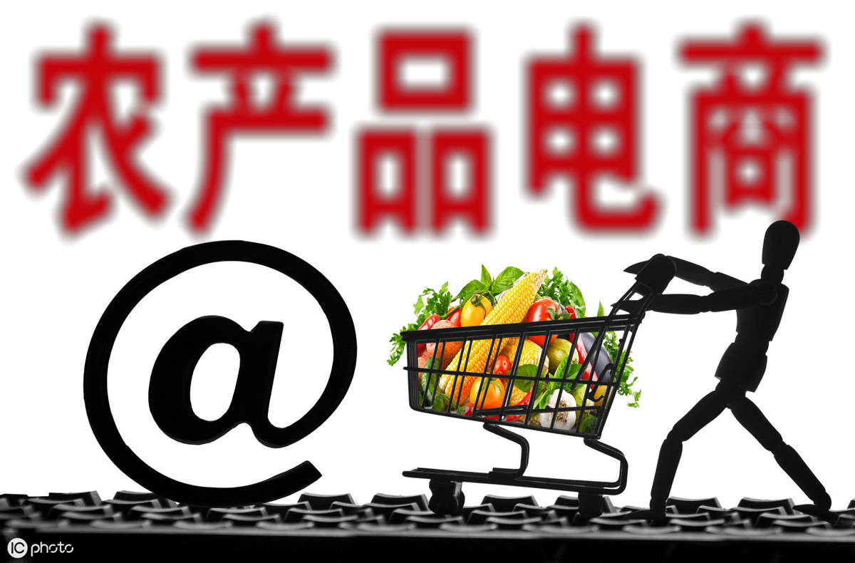 农产品加工基地_农产品加工厂项目_农产品加工厂用地