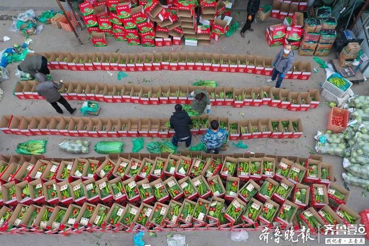 威海市环翠区集中配送蔬菜保障居民生活需求 方便实惠又安全