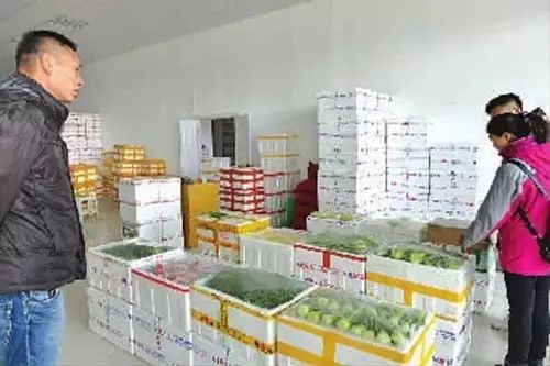 天津农产品交易_天津市农产品交易所_天津市农村交易所