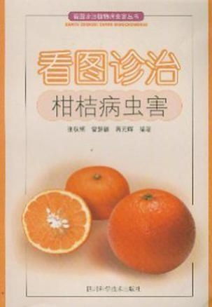 柑桔病虫害防治之道：揭秘病症，守护果园丰收