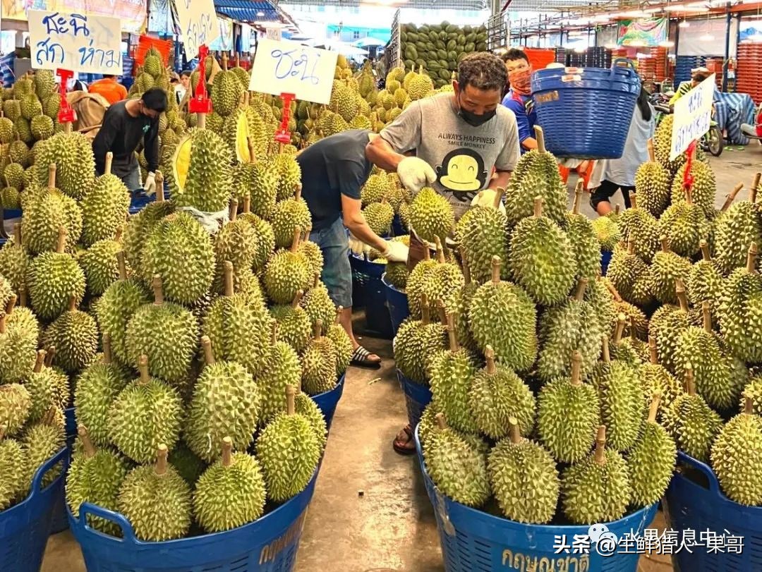 做农产品公司名字_农业产品公司取名_农产品公司名字