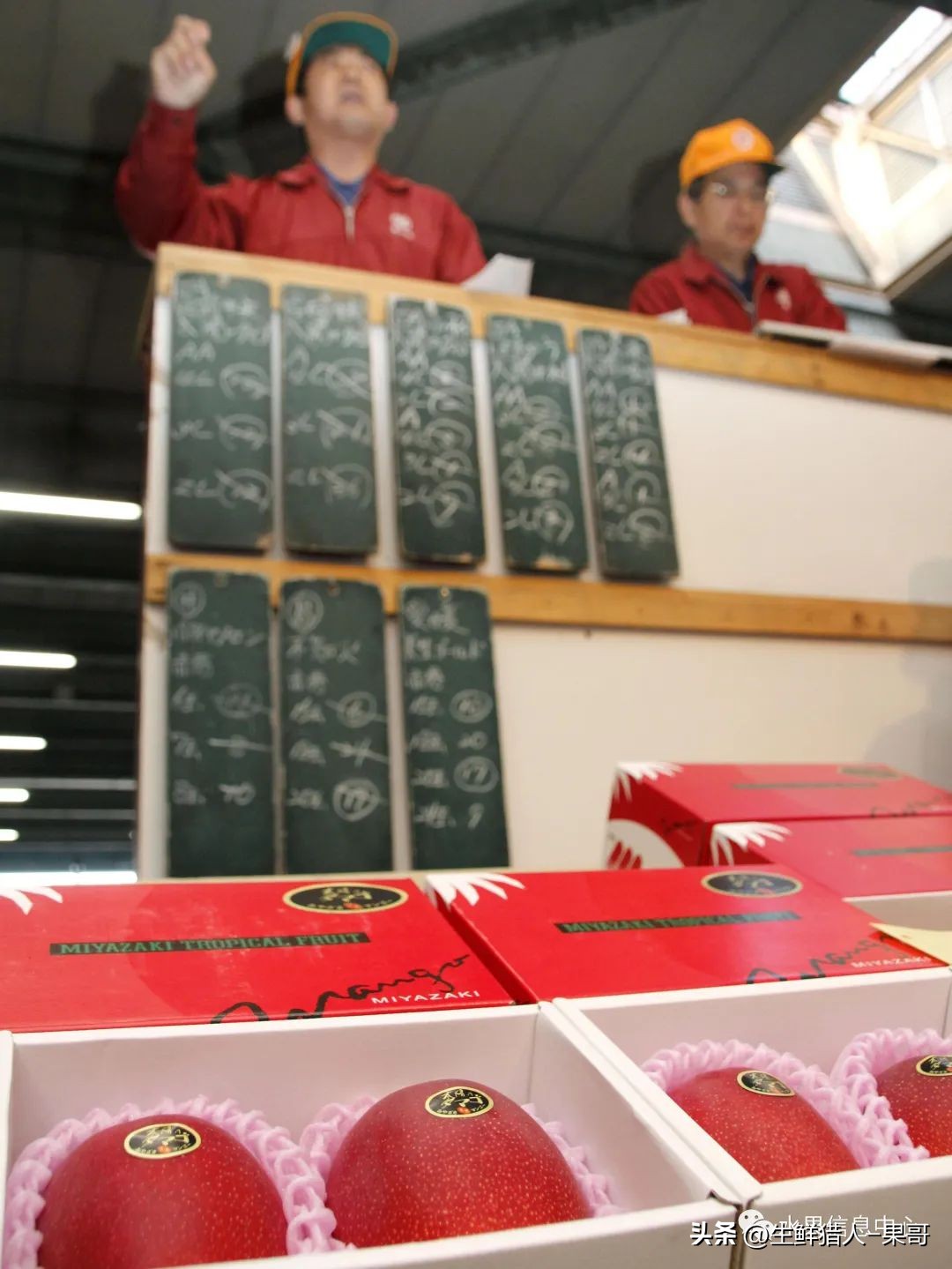 农产品公司名字_农业产品公司取名_做农产品公司名字