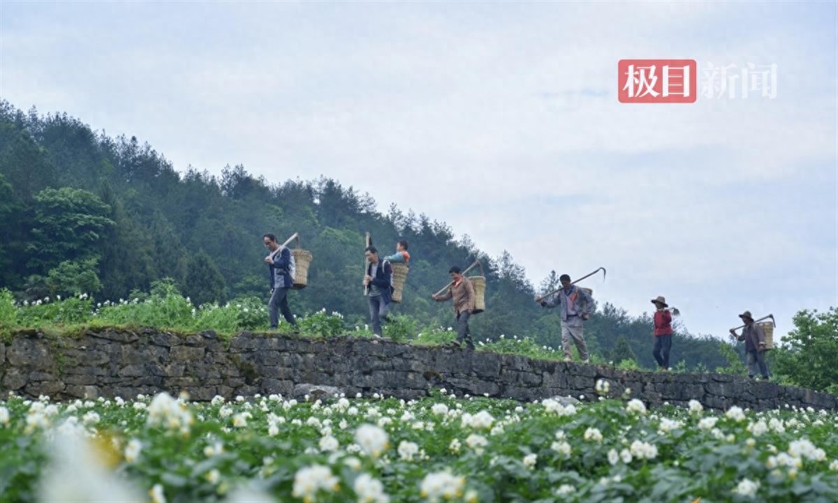 农片宣传富硒产品视频_富硒农产品宣传片_富硒农品宣传语
