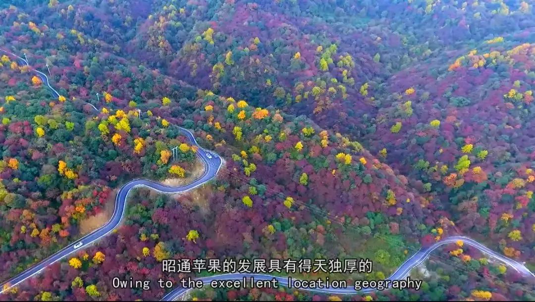 富硒农产品广告_富硒农业口号揭晓_富硒农产品宣传片